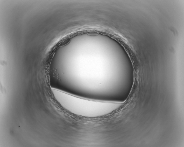 X0000091371496200708101105
