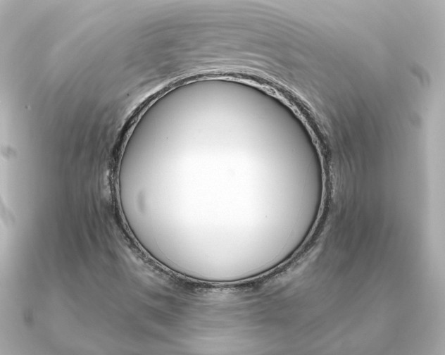 X0000091371497200708101105