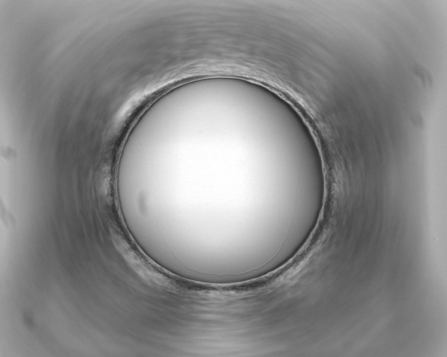 X0000091371499200708101105