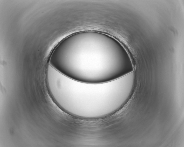 X0000091371500200708101105