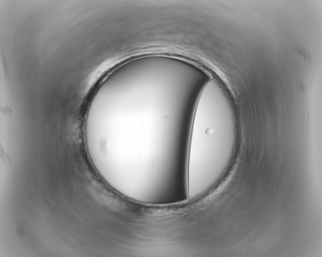 X0000091371501200708101105