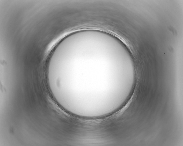 X0000091371502200708101105