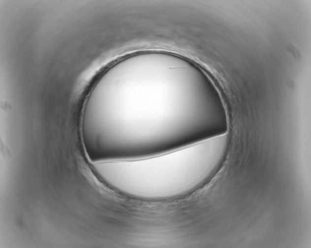 X0000091371503200708101105