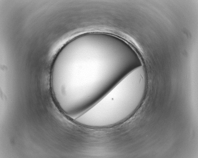 X0000091371504200708101105