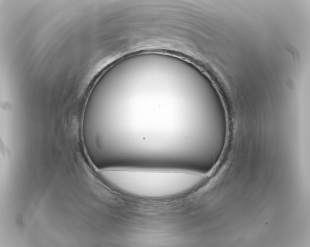 X0000091371505200708101105