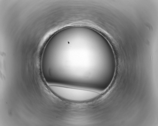 X0000091371506200708101105