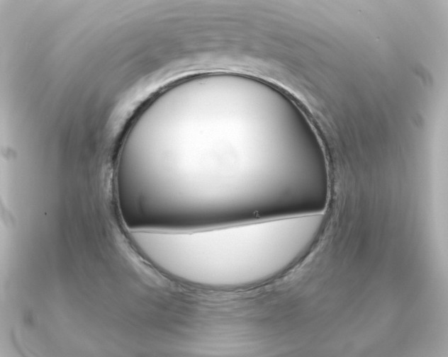 X0000091371507200708101105