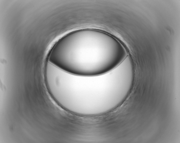 X0000091371508200708101105