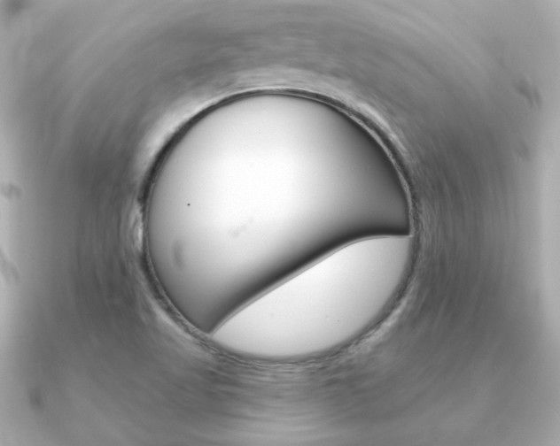 X0000091371509200708101105