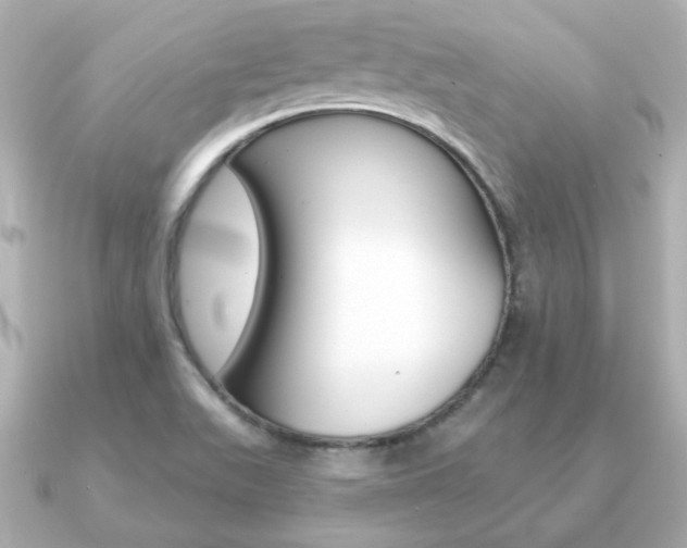 X0000091371511200708101105
