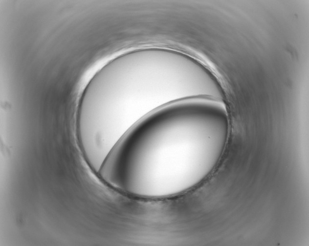 X0000091371512200708101105
