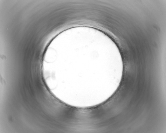 X0000091371514200708101105