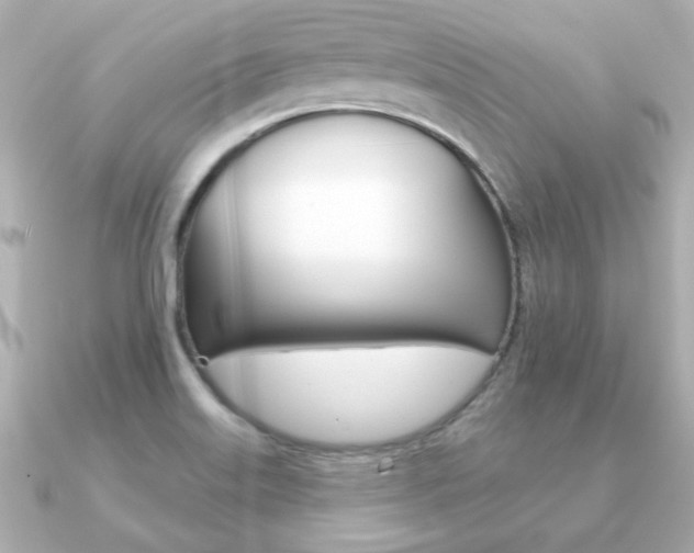 X0000091371515200708101105