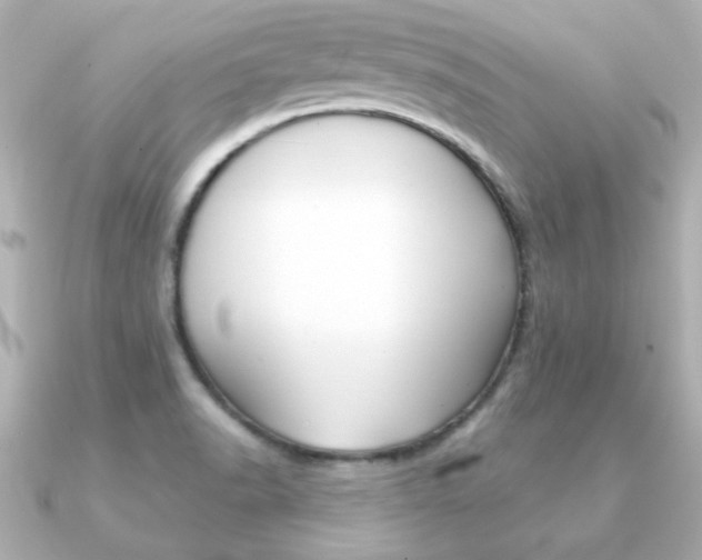 X0000091371518200708101105