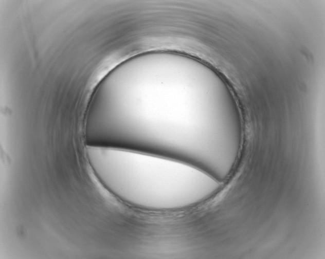 X0000091371521200708101105