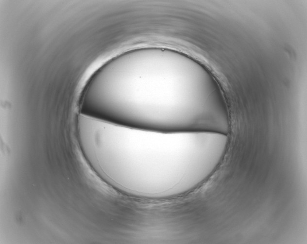 X0000091371522200708101105