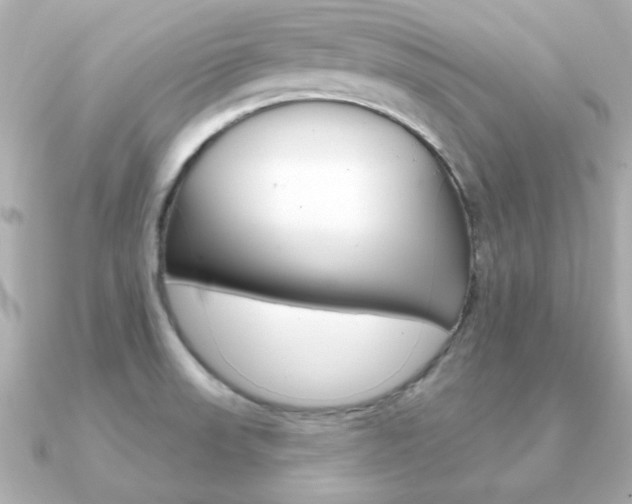 X0000091371523200708101105