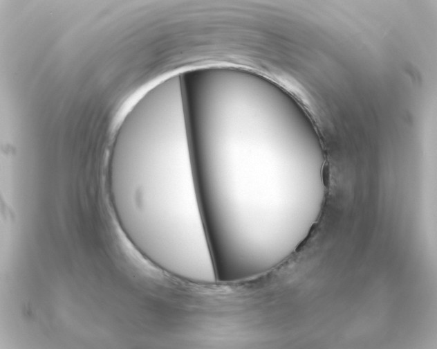 X0000091371524200708101105