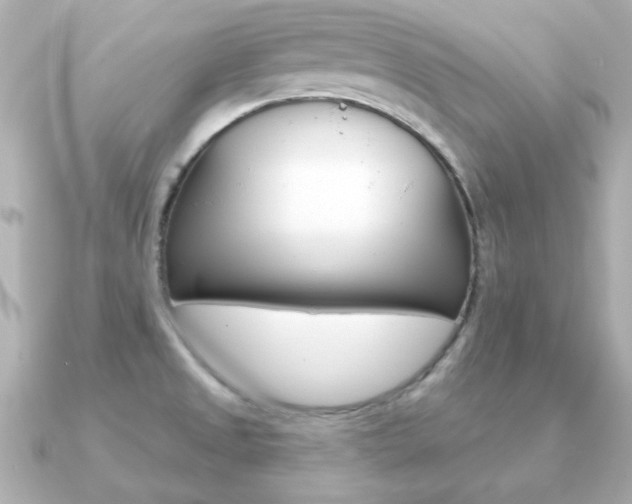 X0000091371525200708101105