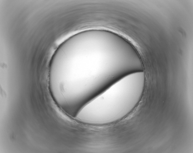 X0000091371526200708101105