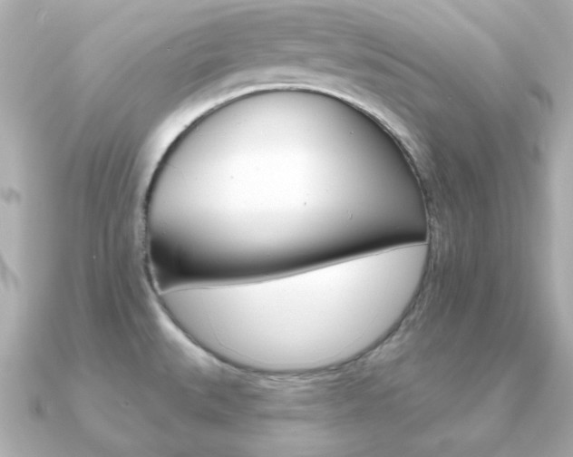 X0000091371527200708101105