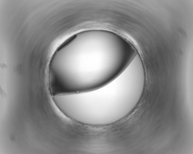 X0000091371528200708101105