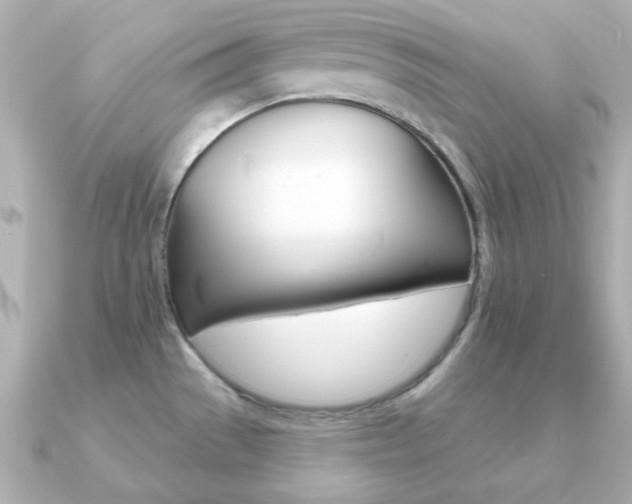 X0000091371529200708101105