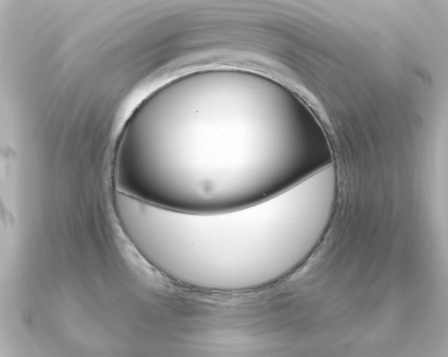 X0000091371530200708101105