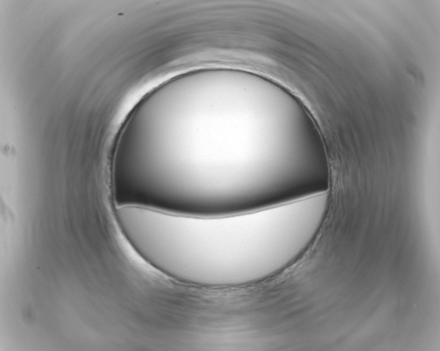 X0000091371531200708101105