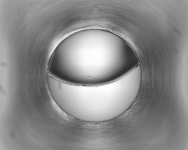 X0000091371532200708101105