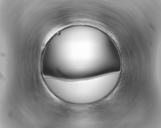 X0000091371533200708101105