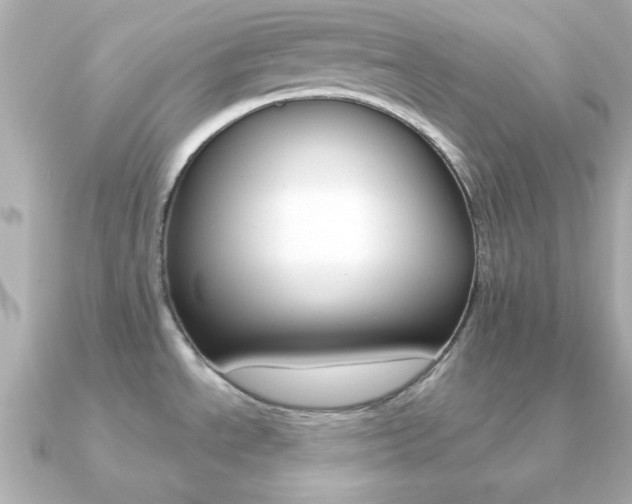 X0000091371534200708101106
