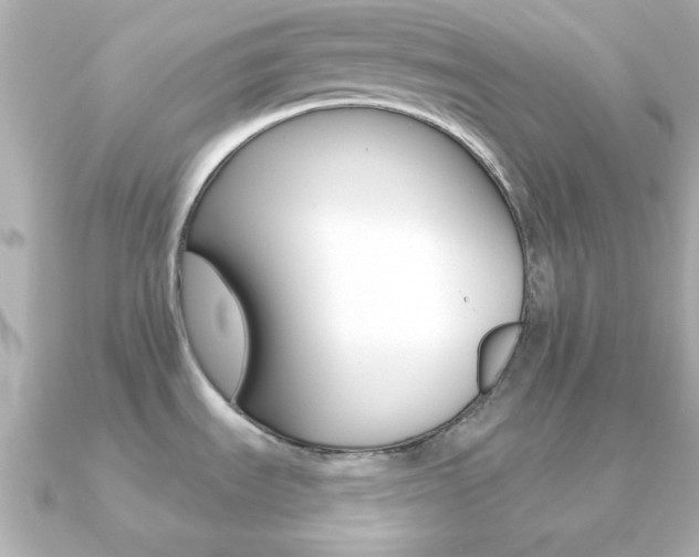 X0000091371535200708101106