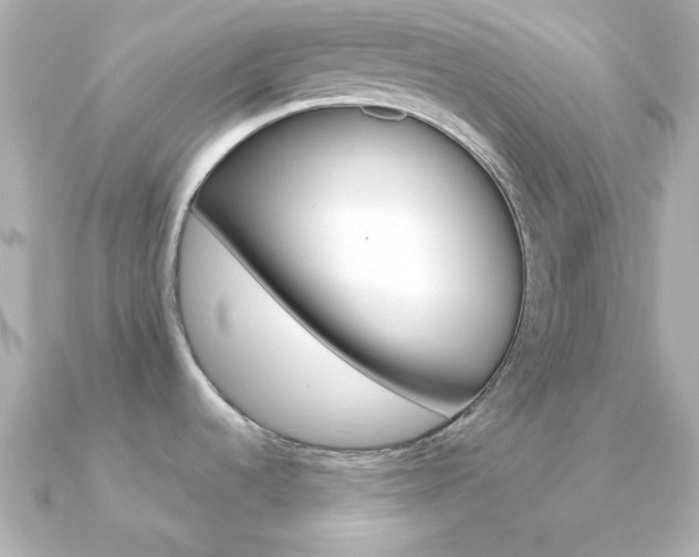 X0000091371536200708101106