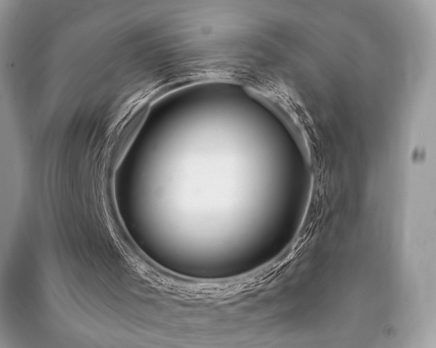 X0000091370001200708101542