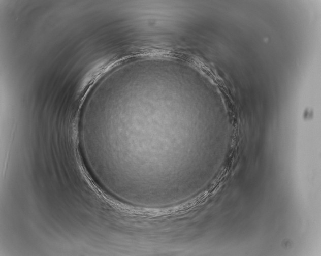 X0000091370002200708101542