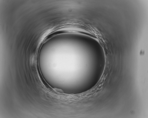 X0000091370003200708101542