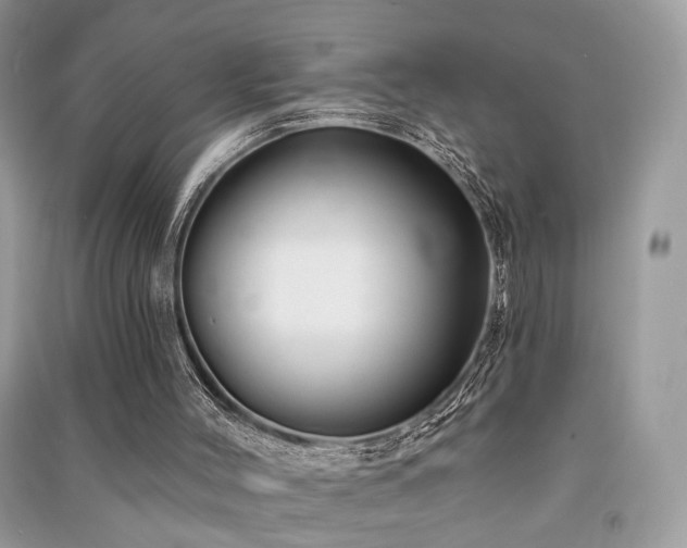 X0000091370004200708101542