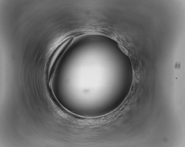 X0000091370005200708101542