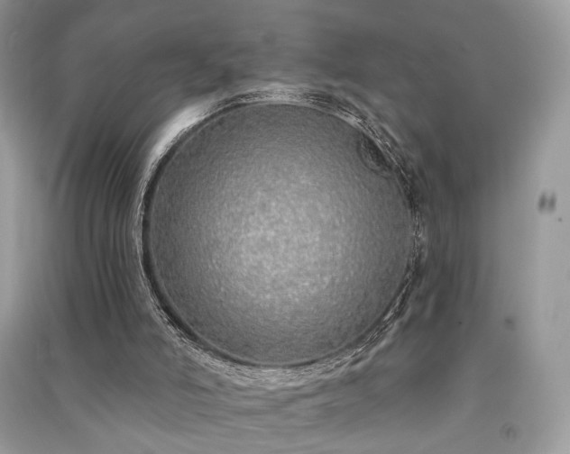 X0000091370006200708101542