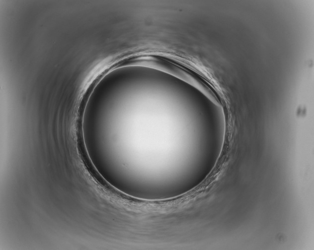 X0000091370007200708101542