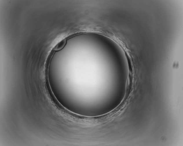 X0000091370008200708101541