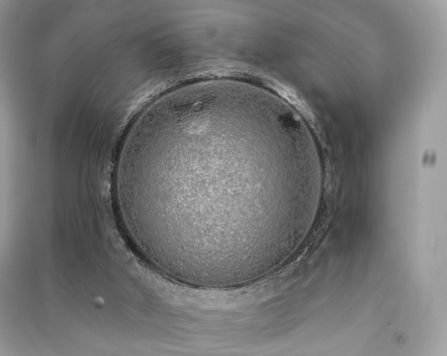 X0000091370010200708101541