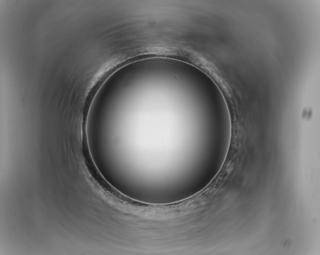 X0000091370011200708101541