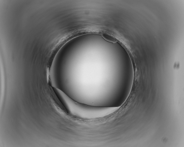 X0000091370013200708101541