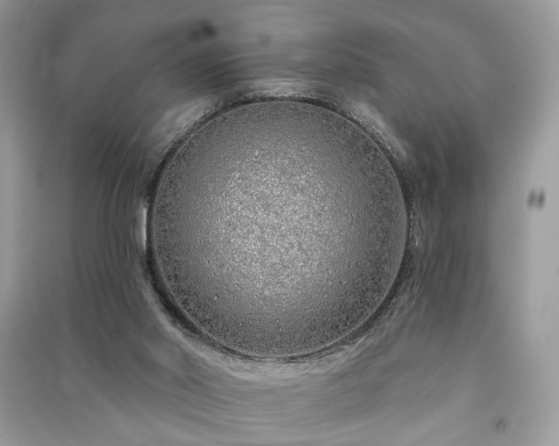 X0000091370014200708101541