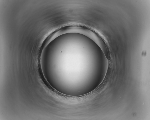 X0000091370015200708101541