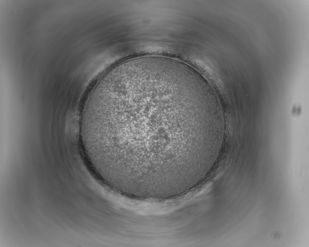 X0000091370016200708101541