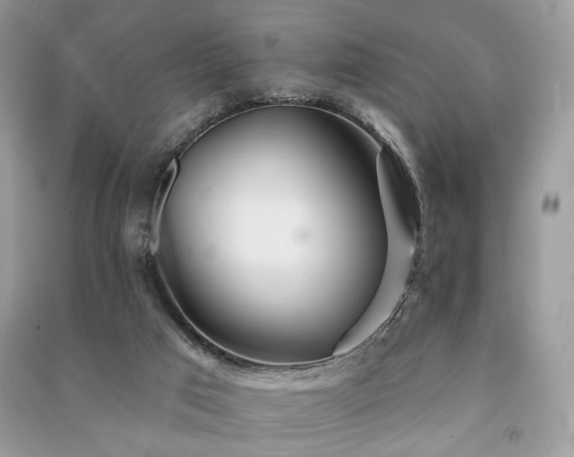 X0000091370017200708101541