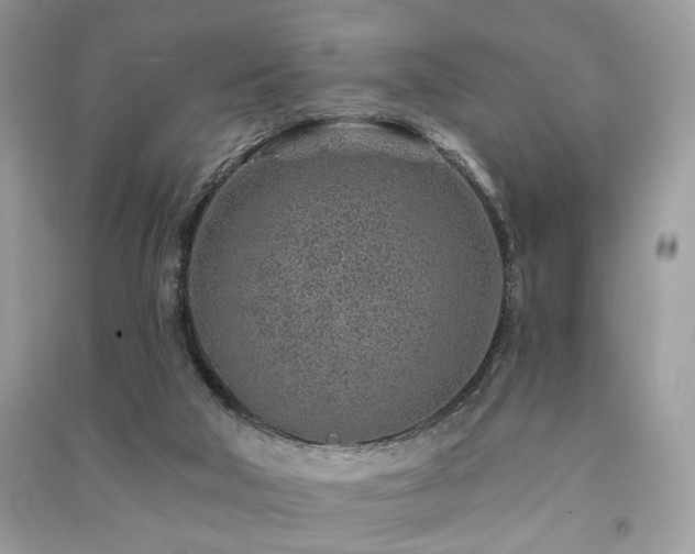 X0000091370018200708101541